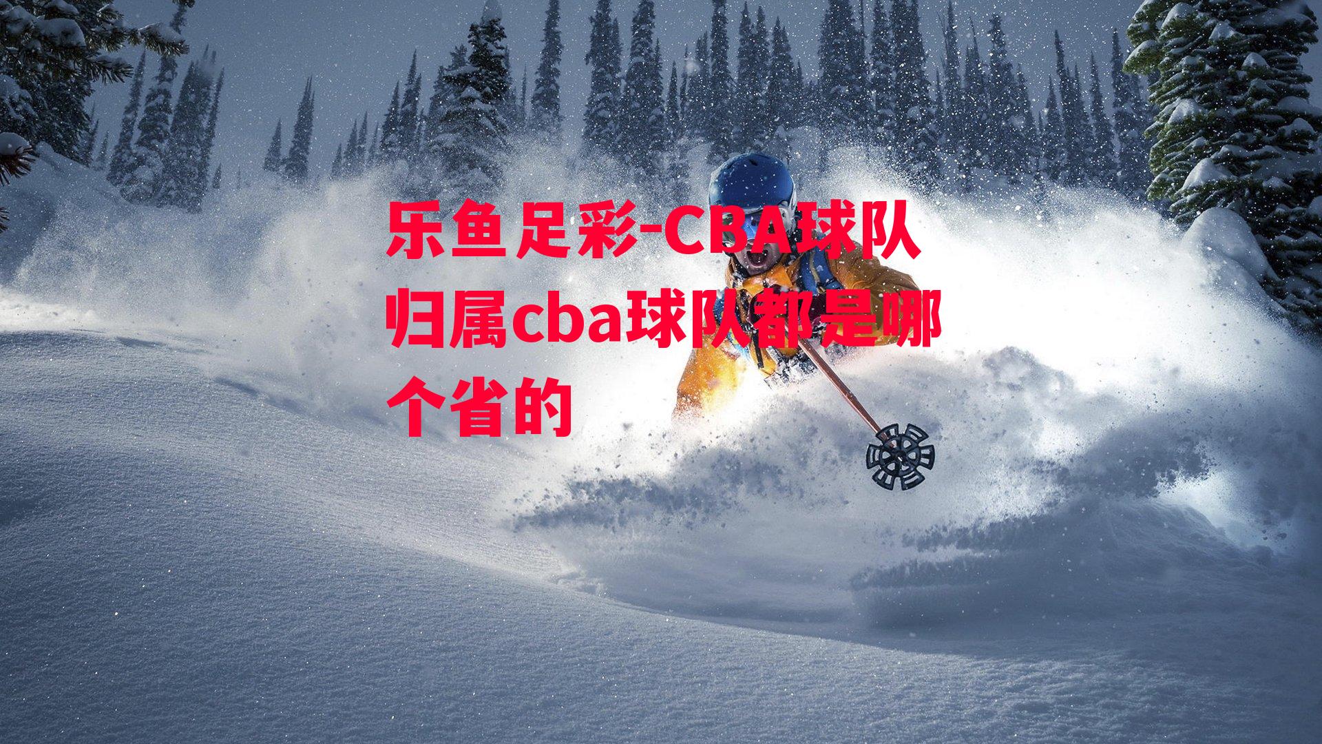 CBA球队归属cba球队都是哪个省的